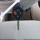 4T1BE46K07U710363 2007 Toyota Camry Le auction photo thumbnail 11