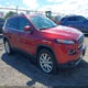 1C4PJMDSXGW269483 2016 Jeep Cherokee Limited auction photo thumbnail 1