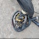 ZCGAJFJN58V101214 2008 M. V. Agusta Brutale auction photo thumbnail 16