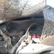 4F4YR16U41TM26547 2001 Mazda B3000 Ds/Se auction photo thumbnail 7