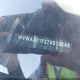 WVWAA71F27V019546 2007 Volkswagen Eos 2.0T auction photo thumbnail 9