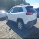 1C4PJMDS3FW774084 2015 Jeep Cherokee Limited auction photo thumbnail 3