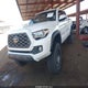 3TMCZ5AN5MM407535 2021 Toyota Tacoma Trd Off-Road auction photo thumbnail 2