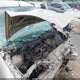 1FAFP34N37W272519 2007 Ford Focus S/Se/Ses auction photo thumbnail 10