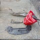 1FAFP34N37W272519 2007 Ford Focus S/Se/Ses auction photo thumbnail 12