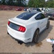 1FA6P8CF6L5162877 2020 Ford Mustang Gt Fastback auction photo thumbnail 4