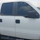 1FTRW14W77FA98722 2007 Ford F-150 Xlt auction photo thumbnail 13
