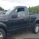 1FTMF1EW5AFD21842 2010 Ford F-150 Stx/Xl/Xlt auction photo thumbnail 14