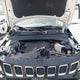 3C4NJDCB5LT256214 2020 Jeep Compass Limited 4X4 auction photo thumbnail 10