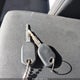 1FTYR10E77PA79775 2007 Ford Ranger Xl/Xlt auction photo thumbnail 11