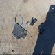 WMWXP7C33H2A46222 2017 Mini Hardtop Cooper S auction photo thumbnail 12