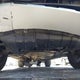 5UXCR6C08M9H19629 2021 BMW X5 xDrive40I auction photo thumbnail 20