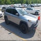 1C4PJMBS7HW524319 2017 Jeep Cherokee Trailhawk 4X4 auction photo thumbnail 1