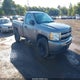 1GCEK14019Z205979 2009 Chevrolet Silverado 1500 Work Truck auction photo thumbnail 1