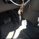 2T1KR32E84C202203 2004 Toyota Matrix Xr auction photo thumbnail 11