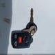 1B7GG22Y4WS527786 1998 Dodge Dakota Slt/Sport auction photo thumbnail 11