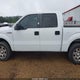 1FTEW1C83AFD90585 2010 Ford F-150 Fx2 Sport/Xl/Xlt auction photo thumbnail 14