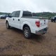 1FTEW1C83AFD90585 2010 Ford F-150 Fx2 Sport/Xl/Xlt auction photo thumbnail 3