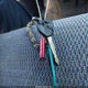 1B7GL22XXWS703436 1998 Dodge Dakota Slt/Sport auction photo thumbnail 11