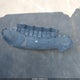 1N6DD26S4XC329915 1999 Nissan Frontier Se/Xe auction photo thumbnail 12