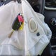 5XYPGDA55HG292388 2017 Kia Sorento 3.3L Lx auction photo thumbnail 11