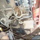 KBCZ052CJL1A47858 2020 Kubota Svl75-2 Tracked Skid Steer Loader auction photo thumbnail 19