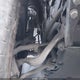 5UXTS3C59J0Y95388 2018 BMW X3 M40I auction photo thumbnail 21