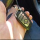 3FA6P0D98KR137890 2019 Ford Fusion Titanium auction photo thumbnail 11
