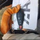 1C4PJLCB2EW155163 2014 Jeep Cherokee Latitude auction photo thumbnail 11