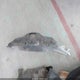 1FTRF12W04NA30234 2004 Ford F-150 Stx/Xl/Xlt auction photo thumbnail 12