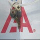 4V0TC2525EG004849 2014 Crossroads Other auction photo thumbnail 11