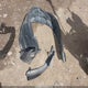 1NXBR32E63Z170493 2003 Toyota Corolla Le auction photo thumbnail 12