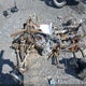 JY4AH12Y446000214 2004 Yamaha Yfm350X auction photo thumbnail 6