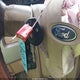 1FTFW1ET7DKD02770 2013 Ford F-150 King Ranch auction photo thumbnail 11