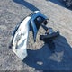 5N1AZ2MH5HN114933 2017 Nissan Murano Sl auction photo thumbnail 12