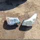 JF2SJAEC9EH489796 2014 Subaru Forester 2.5I Premium auction photo thumbnail 12