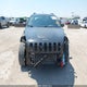 1C4PJMBS8GW335029 2016 Jeep Cherokee Trailhawk auction photo thumbnail 6