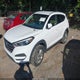 KM8J33A45GU062040 2016 Hyundai Tucson Se auction photo thumbnail 2