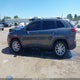 1C4PJMDS3GW175123 2016 Jeep Cherokee Limited auction photo thumbnail 14