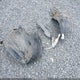 4S3BMCA63E3009041 2014 Subaru Legacy 2.5I auction photo thumbnail 11