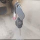 4T4BF1FK7GR549513 2016 Toyota Camry Le auction photo thumbnail 11