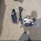 1FADP3K21JL237065 2018 Ford Focus Se auction photo thumbnail 12
