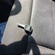 1FTPW14V76FB78793 2006 Ford F-150 Fx4/Lariat/Xlt auction photo thumbnail 11