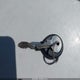 2B4GP44R3XR304480 1999 Dodge Grand Caravan Se auction photo thumbnail 11