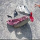 2HGFB2F85FH507429 2015 Honda Civic Ex auction photo thumbnail 12