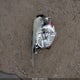 1FTPW14V57KB54291 2007 Ford F-150 Fx4/Lariat/Xlt auction photo thumbnail 12