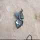 1FAHP35N18W204986 2008 Ford Focus Se/Ses auction photo thumbnail 12