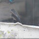 7PLBC2420NM001024 2022 Titanium 24' Car Hauler Trailer auction photo thumbnail 15