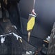 JM1CW2BL5C0138278 2012 Mazda Mazda5 Sport auction photo thumbnail 10