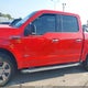 1FTEW1CP9GKD38238 2016 Ford F-150 Xlt auction photo thumbnail 14